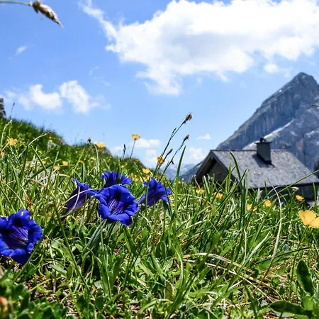 Alpenchic * Schönau am Königssee